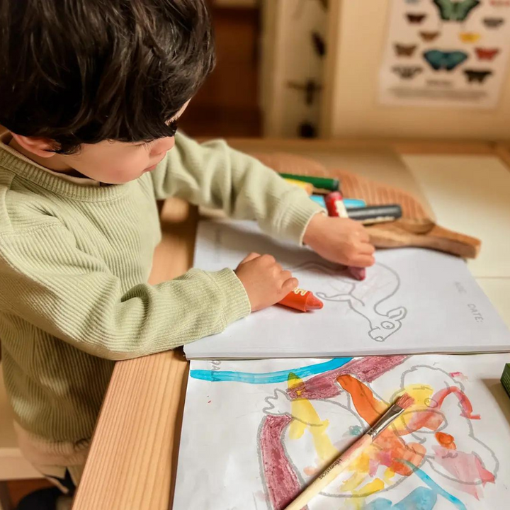Honeysticks Colouring Book-an Aussie Adventure