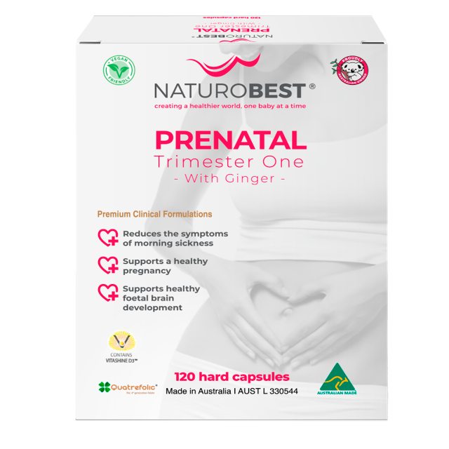 Prenatal Trimester One with Ginger