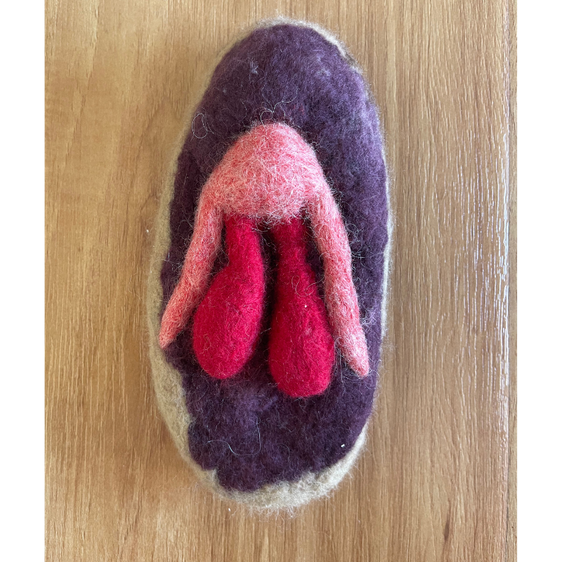 Labia of Love- Felt Anatomy Model