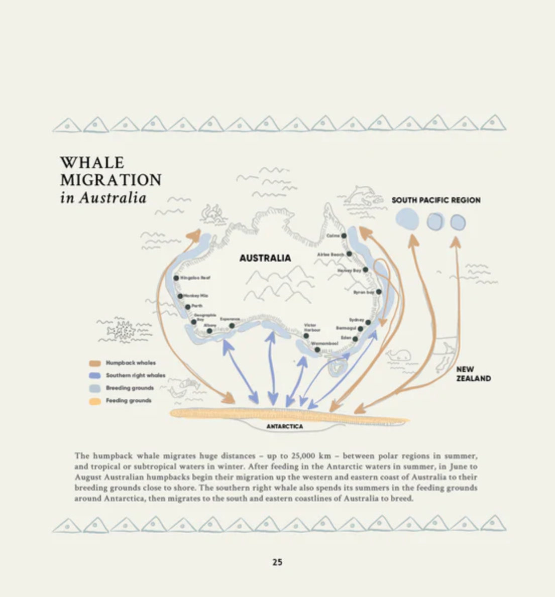 Gurawul the Whale: An ancient story for our time by Max Dulumunmun Harrison