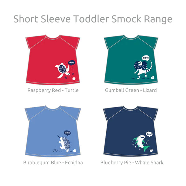 ShortSleeveToddlerSmockRange_grande