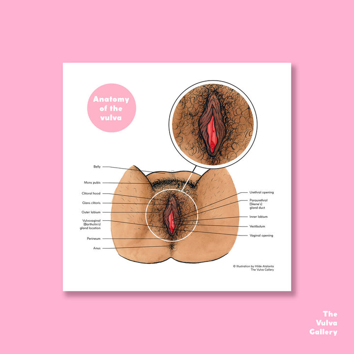 Anatomy Print